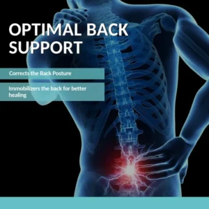 Zorch LS Belt Corset optimal back support