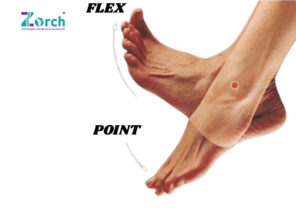 Toe Flex and Point Exercise – Strengthen Small Foot Muscles
